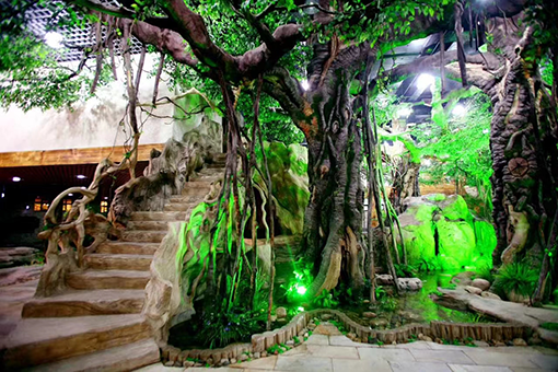 黄瓜AV免费视频榕树